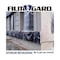 Film-Gard Plastic Sheeting 6 mil X 12 ft. W X 100 ft. L Polyethylene Black 1 pk 626040 - alternate 9